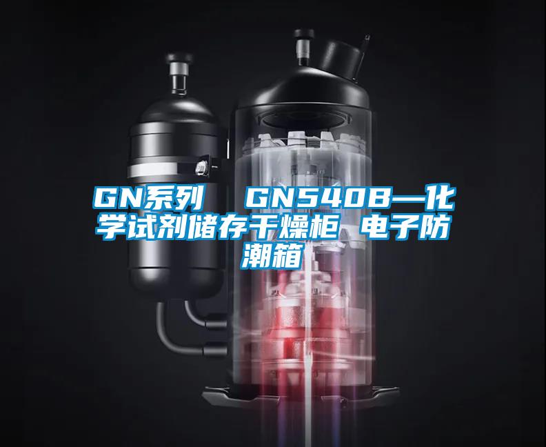 GN系列  GN540B—化學(xué)試劑儲(chǔ)存干燥柜 電子防潮箱