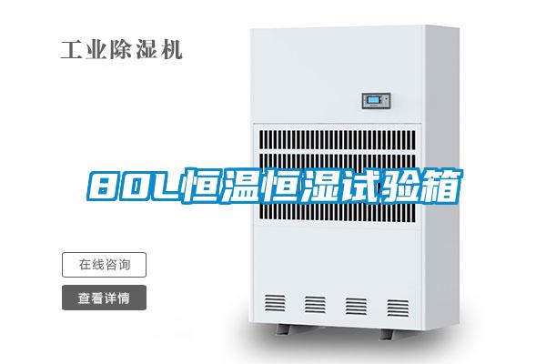 80L恒溫恒濕試驗箱