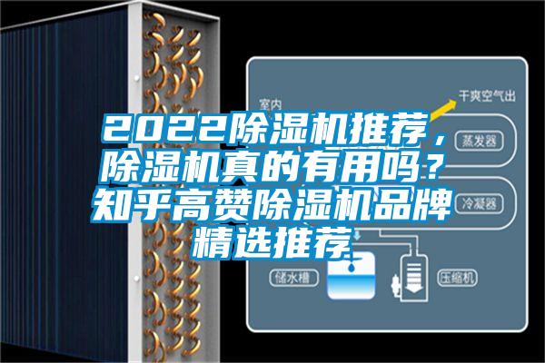 2022除濕機(jī)推薦，除濕機(jī)真的有用嗎？知乎高贊除濕機(jī)品牌精選推薦