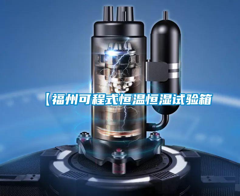 【福州可程式恒溫恒濕試驗(yàn)箱