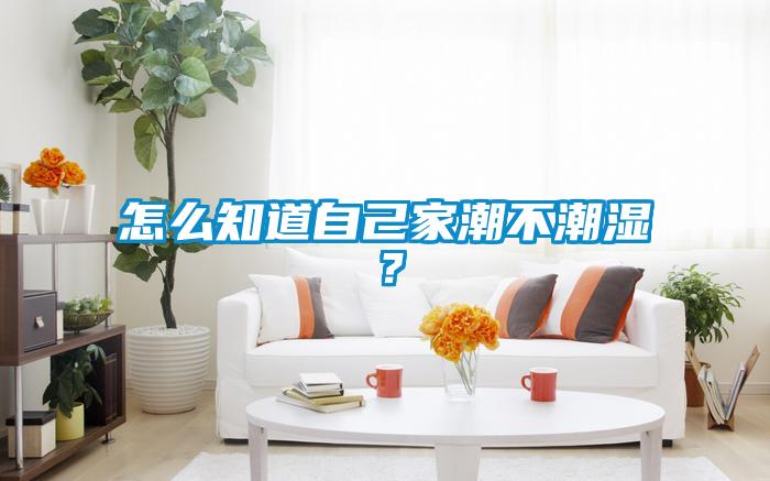 怎么知道自己家潮不潮濕？