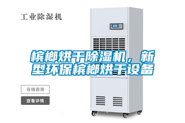檳榔烘干除濕機，新型環(huán)保檳榔烘干設備