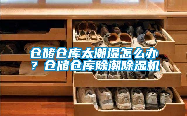 倉(cāng)儲(chǔ)倉(cāng)庫(kù)太潮濕怎么辦？倉(cāng)儲(chǔ)倉(cāng)庫(kù)除潮除濕機(jī)