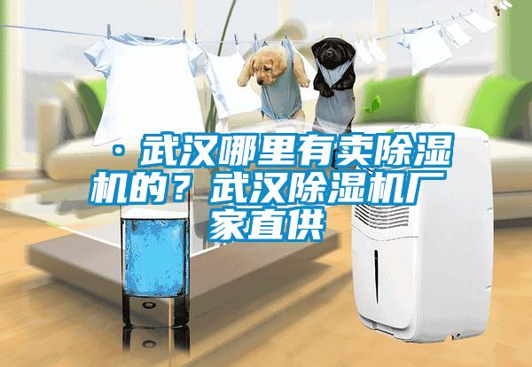 ·武漢哪里有賣除濕機(jī)的？武漢除濕機(jī)廠家直供