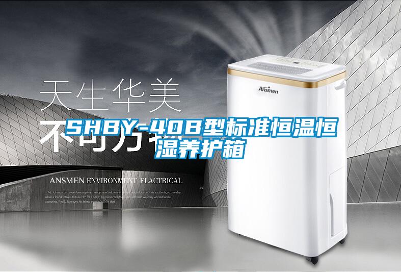 SHBY-40B型標準恒溫恒濕養(yǎng)護箱