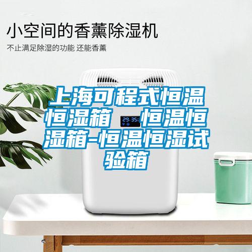 上?？沙淌胶銣睾銤裣? 恒溫恒濕箱-恒溫恒濕試驗箱