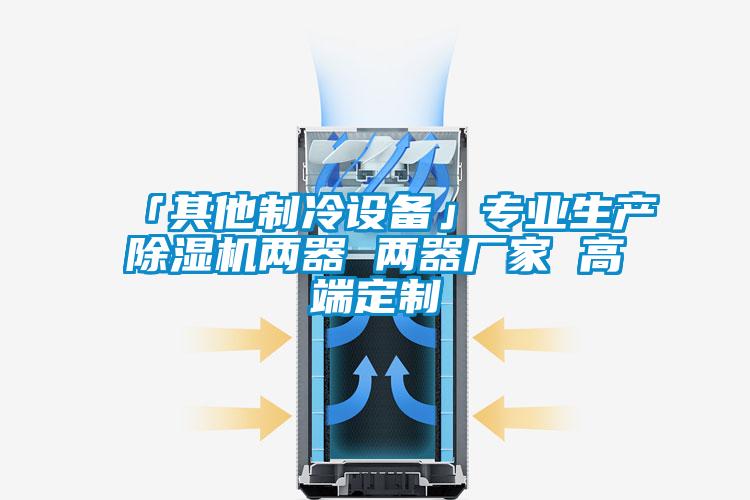 「其他制冷設(shè)備」專業(yè)生產(chǎn)除濕機兩器 兩器廠家 高端定制