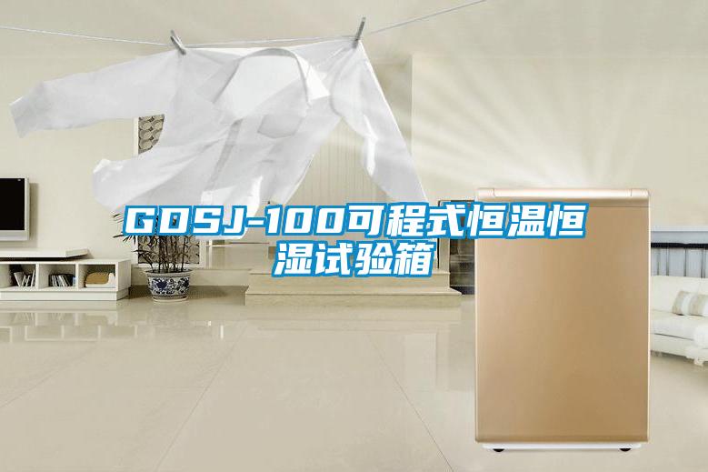 GDSJ-100可程式恒溫恒濕試驗(yàn)箱