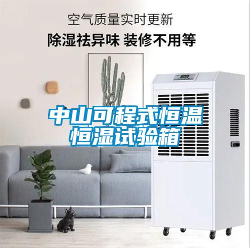中山可程式恒溫恒濕試驗(yàn)箱