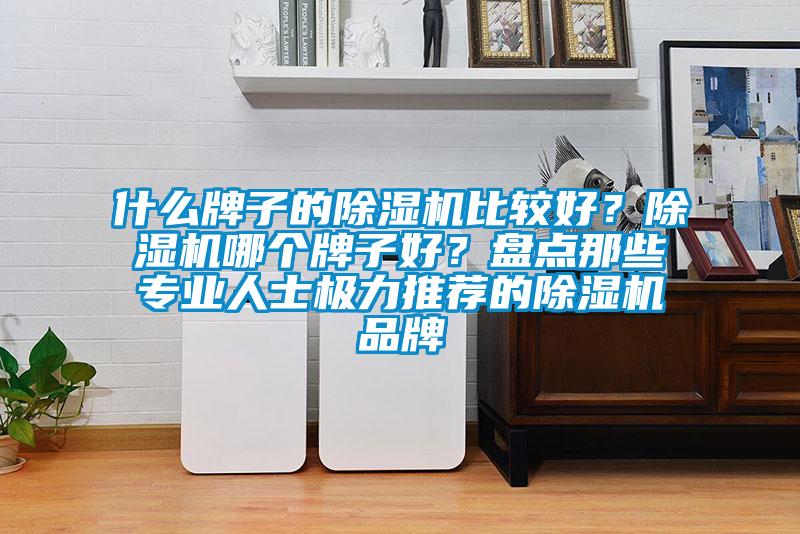 什么牌子的除濕機比較好？除濕機哪個牌子好？盤點那些專業(yè)人士極力推薦的除濕機品牌