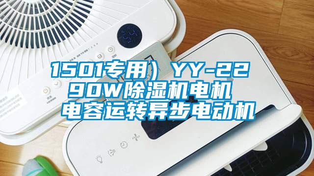 1501專用）YY-22  90W除濕機電機  電容運轉(zhuǎn)異步電動機