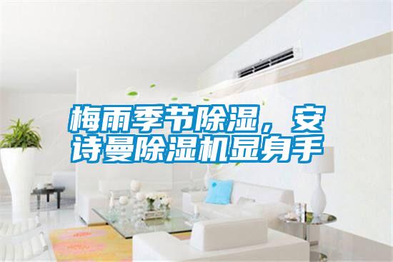 梅雨季節(jié)除濕，安詩曼除濕機顯身手