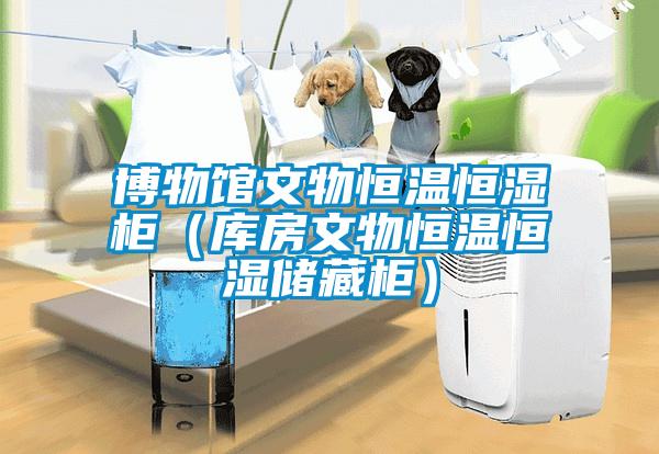 博物館文物恒溫恒濕柜（庫房文物恒溫恒濕儲(chǔ)藏柜）