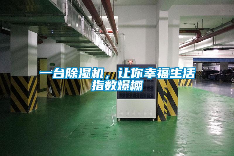 一臺(tái)除濕機(jī)，讓你幸福生活指數(shù)爆棚