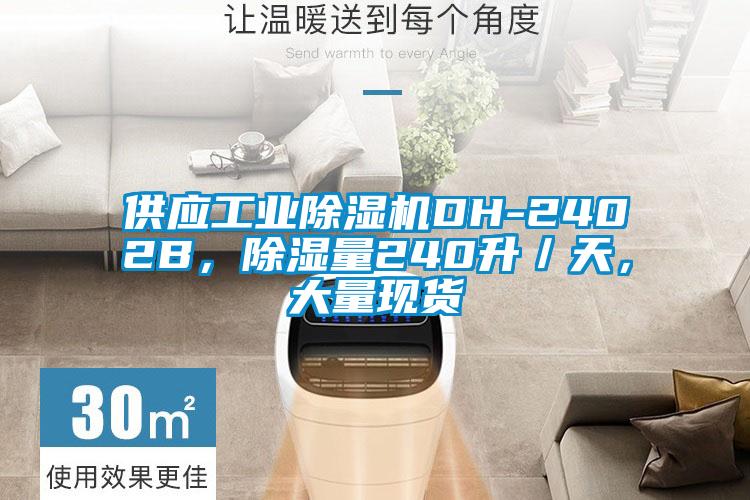 供應(yīng)工業(yè)除濕機DH-2402B，除濕量240升／天，大量現(xiàn)貨