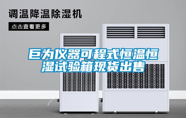 巨為儀器可程式恒溫恒濕試驗箱現(xiàn)貨出售
