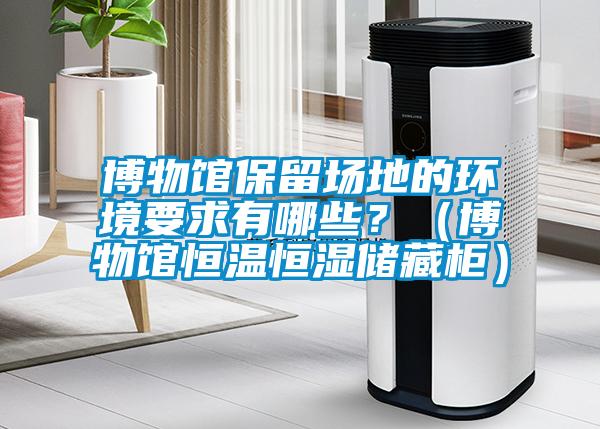 博物館保留場(chǎng)地的環(huán)境要求有哪些？（博物館恒溫恒濕儲(chǔ)藏柜）
