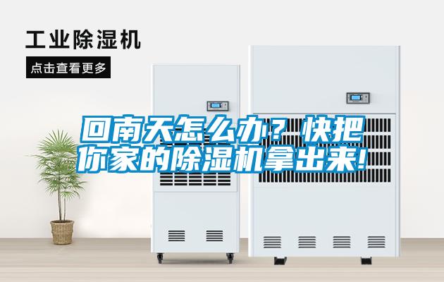 回南天怎么辦？快把你家的除濕機(jī)拿出來!