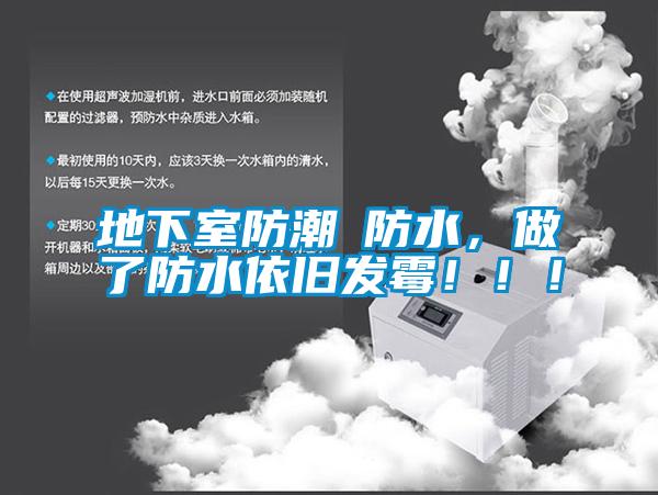地下室防潮≠防水，做了防水依舊發(fā)霉?。?！