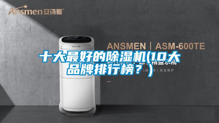 十大最好的除濕機(jī)(10大品牌排行榜？)