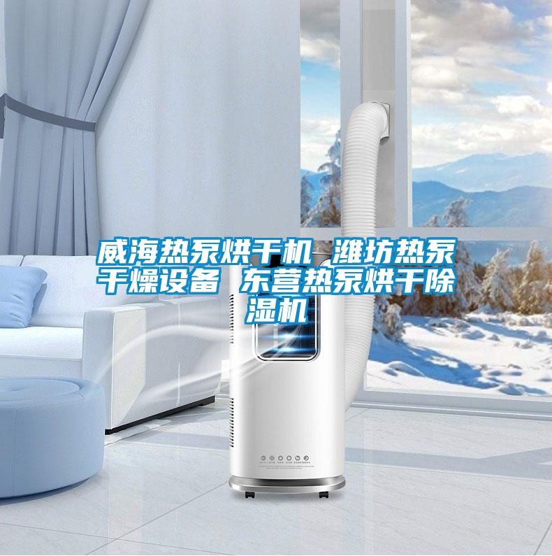 威海熱泵烘干機 濰坊熱泵干燥設(shè)備 東營熱泵烘干除濕機