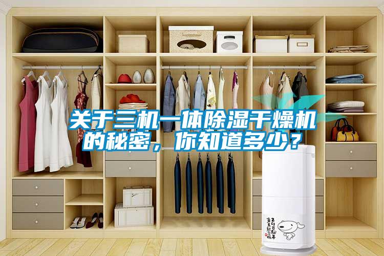 關(guān)于三機(jī)一體除濕干燥機(jī)的秘密，你知道多少？