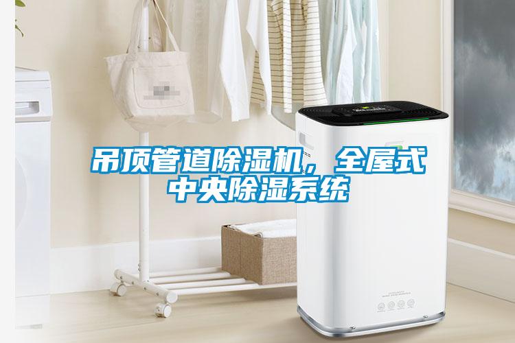 吊頂管道除濕機，全屋式中央除濕系統(tǒng)