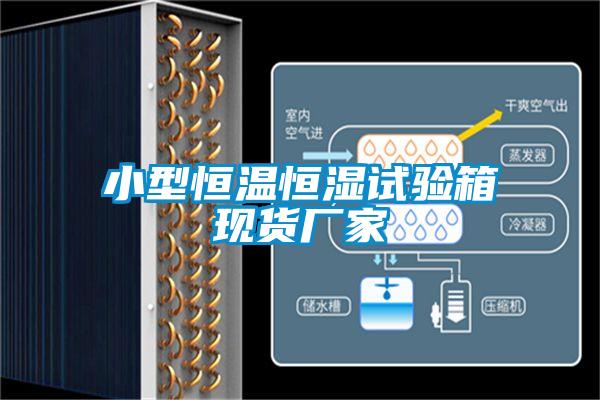 小型恒溫恒濕試驗(yàn)箱現(xiàn)貨廠家