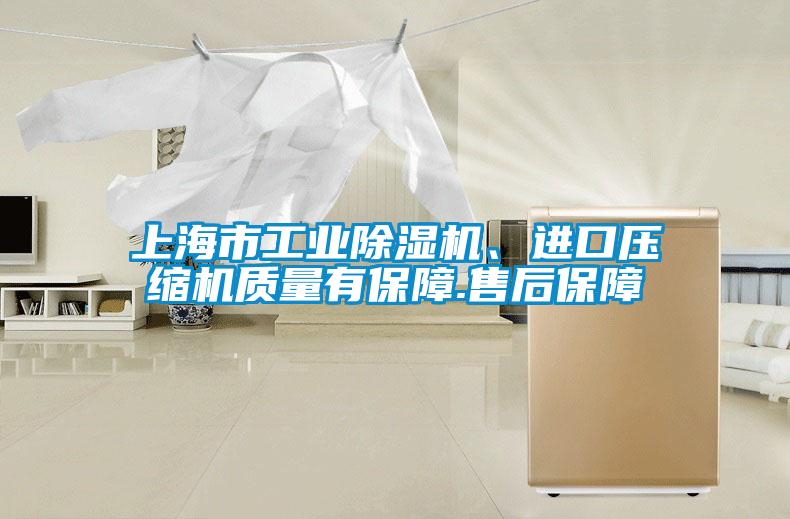 上海市工業(yè)除濕機(jī)、進(jìn)口壓縮機(jī)質(zhì)量有保障.售后保障