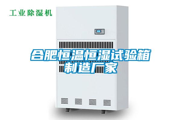 合肥恒溫恒濕試驗箱制造廠家