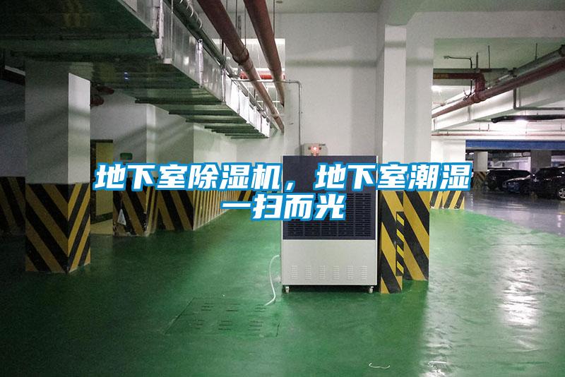 地下室除濕機，地下室潮濕一掃而光