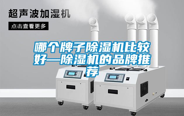 哪個(gè)牌子除濕機(jī)比較好—除濕機(jī)的品牌推薦