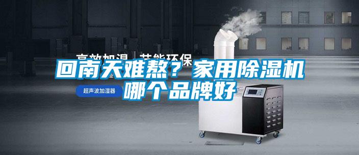 回南天難熬？家用除濕機(jī)哪個(gè)品牌好