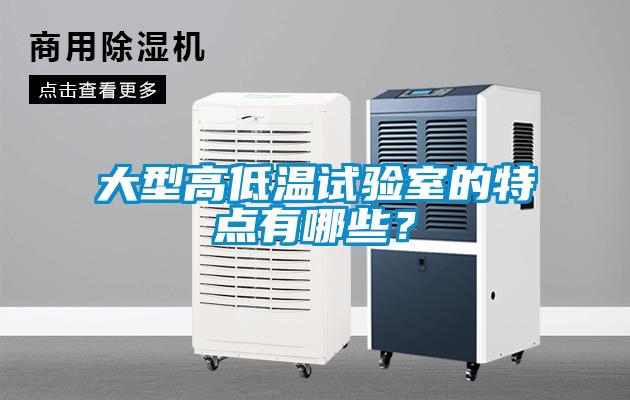 大型高低溫試驗室的特點有哪些？