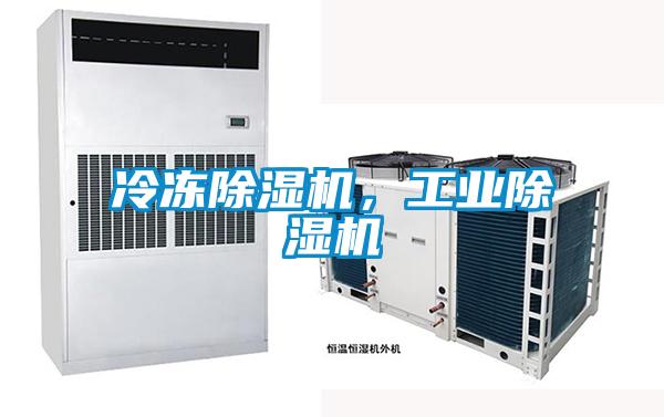 冷凍除濕機，工業(yè)除濕機