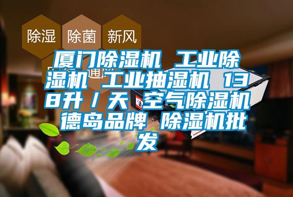 廈門除濕機 工業(yè)除濕機 工業(yè)抽濕機 138升／天 空氣除濕機 德島品牌 除濕機批發(fā)