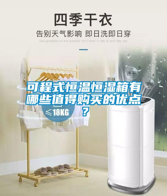 可程式恒溫恒濕箱有哪些值得購買的優(yōu)點(diǎn)？