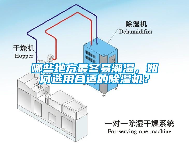 哪些地方最容易潮濕，如何選用合適的除濕機？