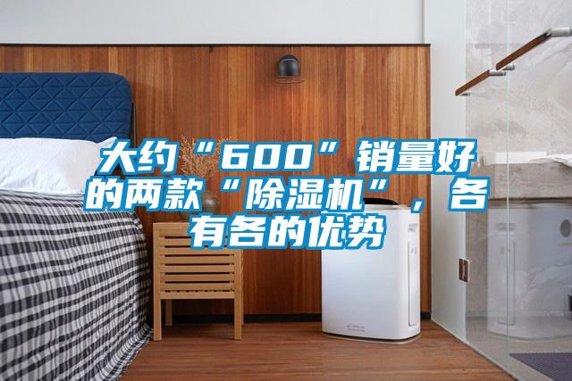 大約“600”銷(xiāo)量好的兩款“除濕機(jī)”，各有各的優(yōu)勢(shì)