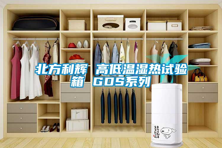 北方利輝 高低溫濕熱試驗箱 GDS系列
