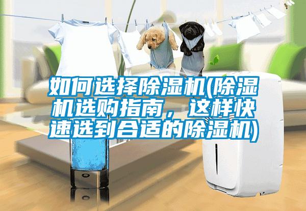 如何選擇除濕機(jī)(除濕機(jī)選購(gòu)指南，這樣快速選到合適的除濕機(jī))