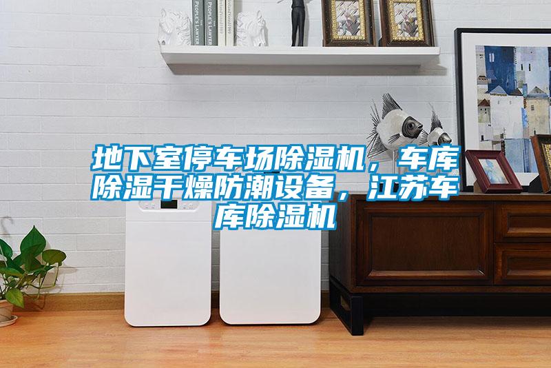 地下室停車場除濕機，車庫除濕干燥防潮設(shè)備，江蘇車庫除濕機