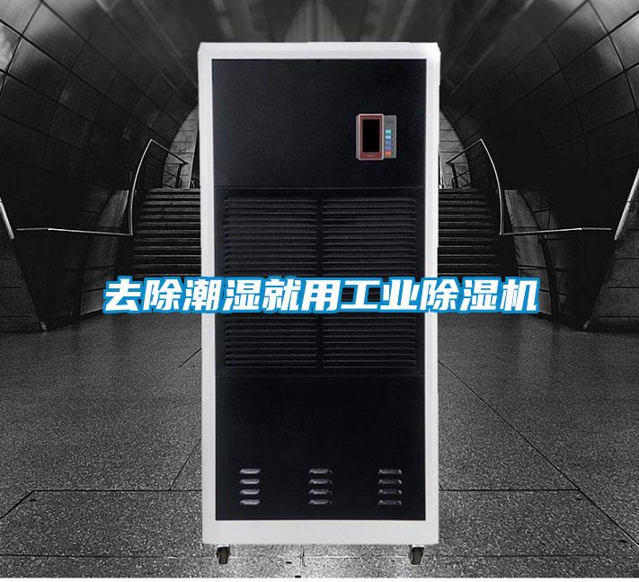 去除潮濕就用工業(yè)除濕機
