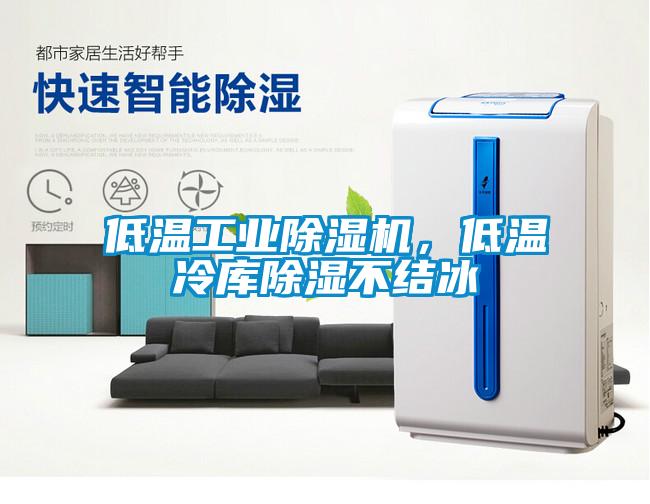 低溫工業(yè)除濕機(jī)，低溫冷庫除濕不結(jié)冰