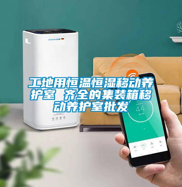 工地用恒溫恒濕移動養(yǎng)護室 齊全的集裝箱移動養(yǎng)護室批發(fā)