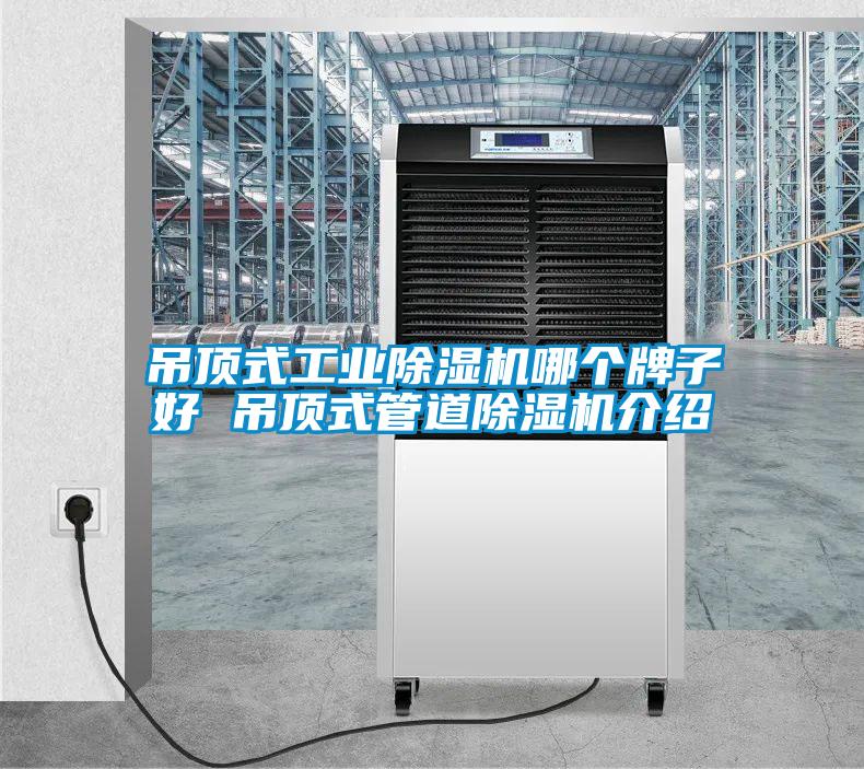 吊頂式工業(yè)除濕機(jī)哪個(gè)牌子好 吊頂式管道除濕機(jī)介紹