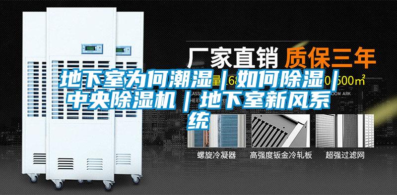 地下室為何潮濕｜如何除濕｜中央除濕機｜地下室新風系統
