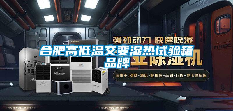 合肥高低溫交變濕熱試驗(yàn)箱品牌