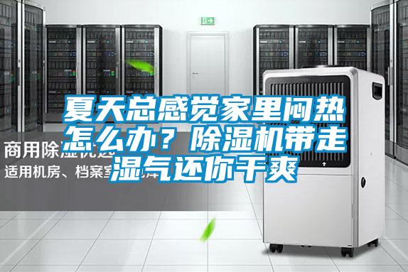 夏天總感覺(jué)家里悶熱怎么辦？除濕機(jī)帶走濕氣還你干爽