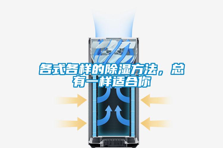 各式各樣的除濕方法，總有一樣適合你